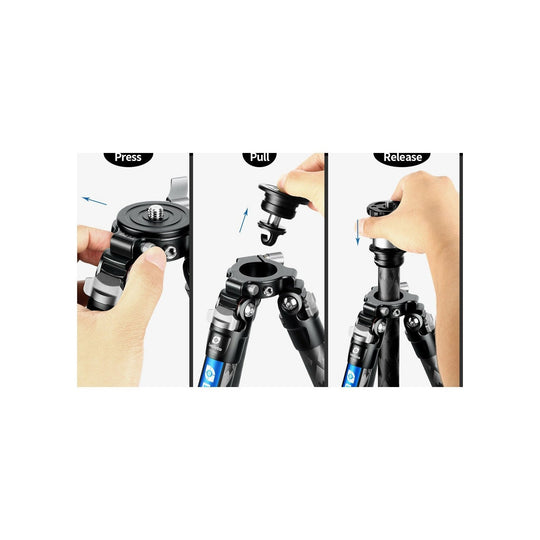 Leofoto Tripod- LQ-284C+LH-36